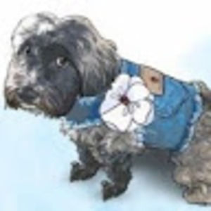 Meet your Posher, Jackie